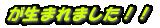 が生まれました!!